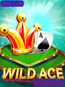Explorando o Mundo de WildAce: Um Novo Fenômeno de Entretenimento